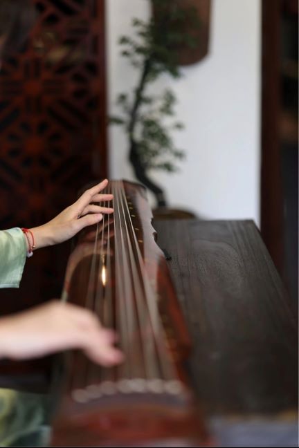 One Piece Elegant: wenya文雅 (New Year Sale@ $153- low stock)